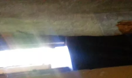 Gray ilmaiset pornovideot söi vaalean tytön keittiössä.