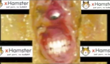 Yhtä tyhmä kuin ilmaiset seksielokuvat peräaukko.