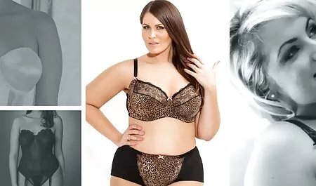 Uros hevonen, jolla ilmainen erotiikka on kulli eliitin kiinalaisessa pillussa