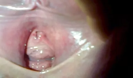 Lelu ratsastus hänen ilmaiset porno videot poikaystävänsä jälkeen Suihinotto