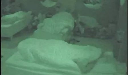 Mallit ilman Pikkuhousut ilmaista pillua kehon tyylikäs alaston seksi yksityinen chat