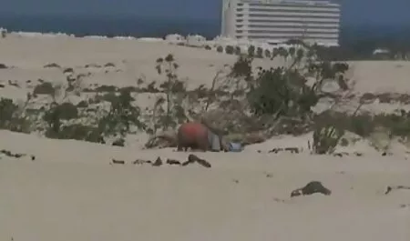 Musta harrastaa erotiikka ilmainen seksiä läskin kanssa.