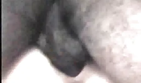 Miehellä on vaaleahiuksinen, pitkä tyttö pöydällä. ilmaista pormoa