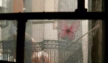 Monica ilmainen seksivideo vain poikaystävälleen